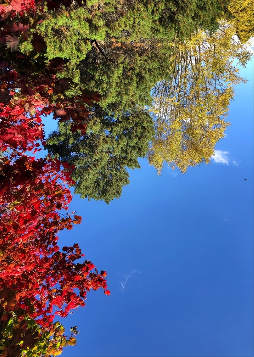 最是新秋好时光，有关新秋的诗词，在诗词里欣赏新秋的美景！​