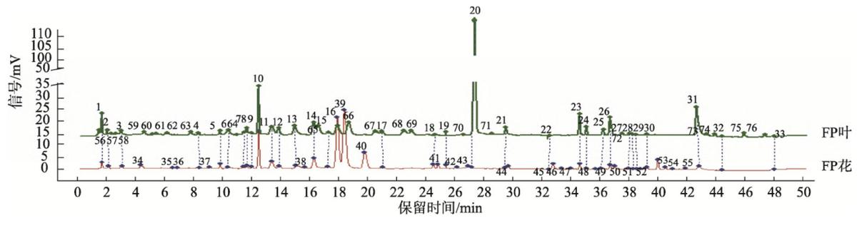 金花茶具有六大器官吗,金花茶属于什么属性