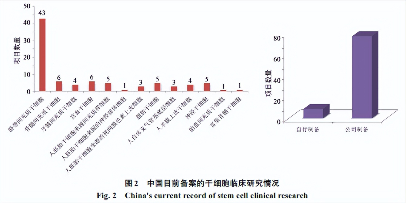 干细胞的研究现状与未来,干细胞研究的咋样了