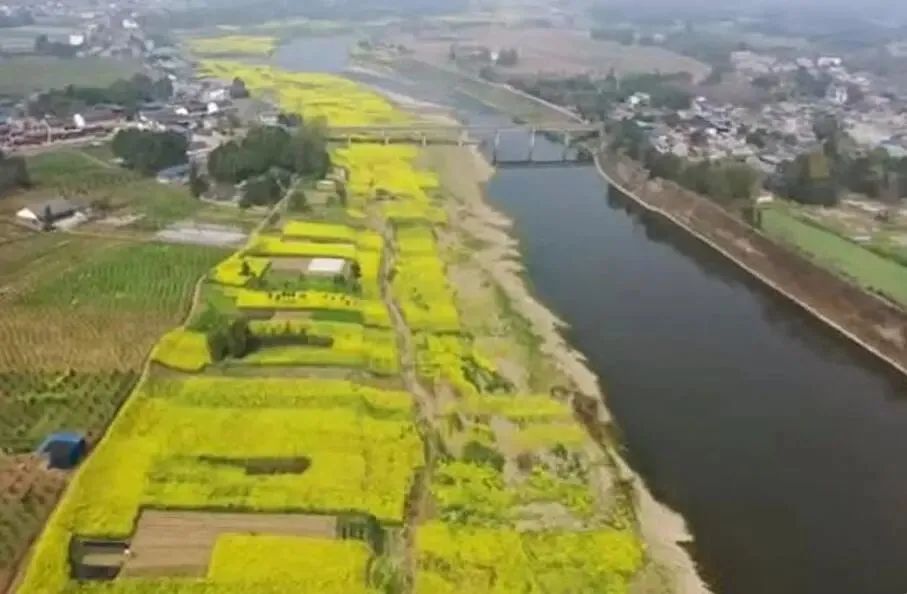 请查收！20个农业重大项目投资机会清单出炉！