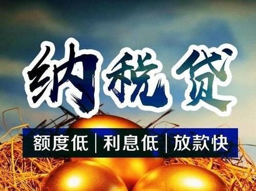 企业税贷国家有补贴利息,企业信贷税票贷
