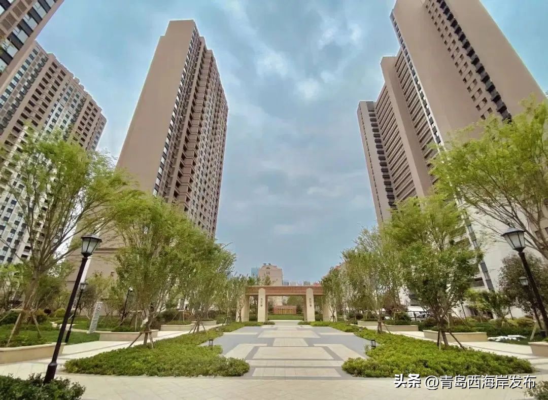 不简单！山东首个！