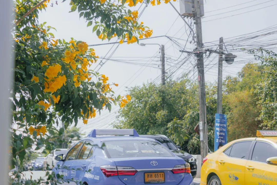 大数据推给想去泰国的朋友，万字长文玩转曼谷芭提雅