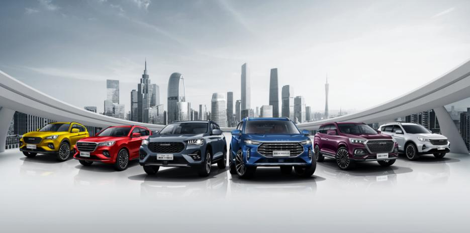 没有附加条件的终生质保,原厂不给售后服务承诺