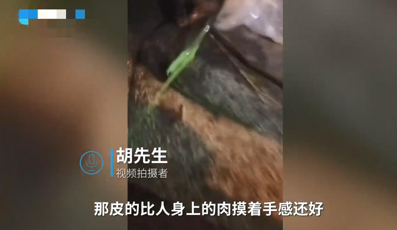 年轻人频繁使用“娃娃”，还搞成无头女尸乱扔，真缺德！