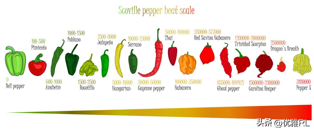 吃了一口辣椒得了重病,吃了一顿辣椒肚子烧的不行