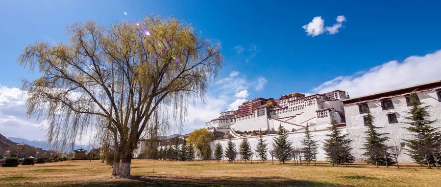 布达拉宫门票怎么网上预约,布达拉宫门票免票时间表