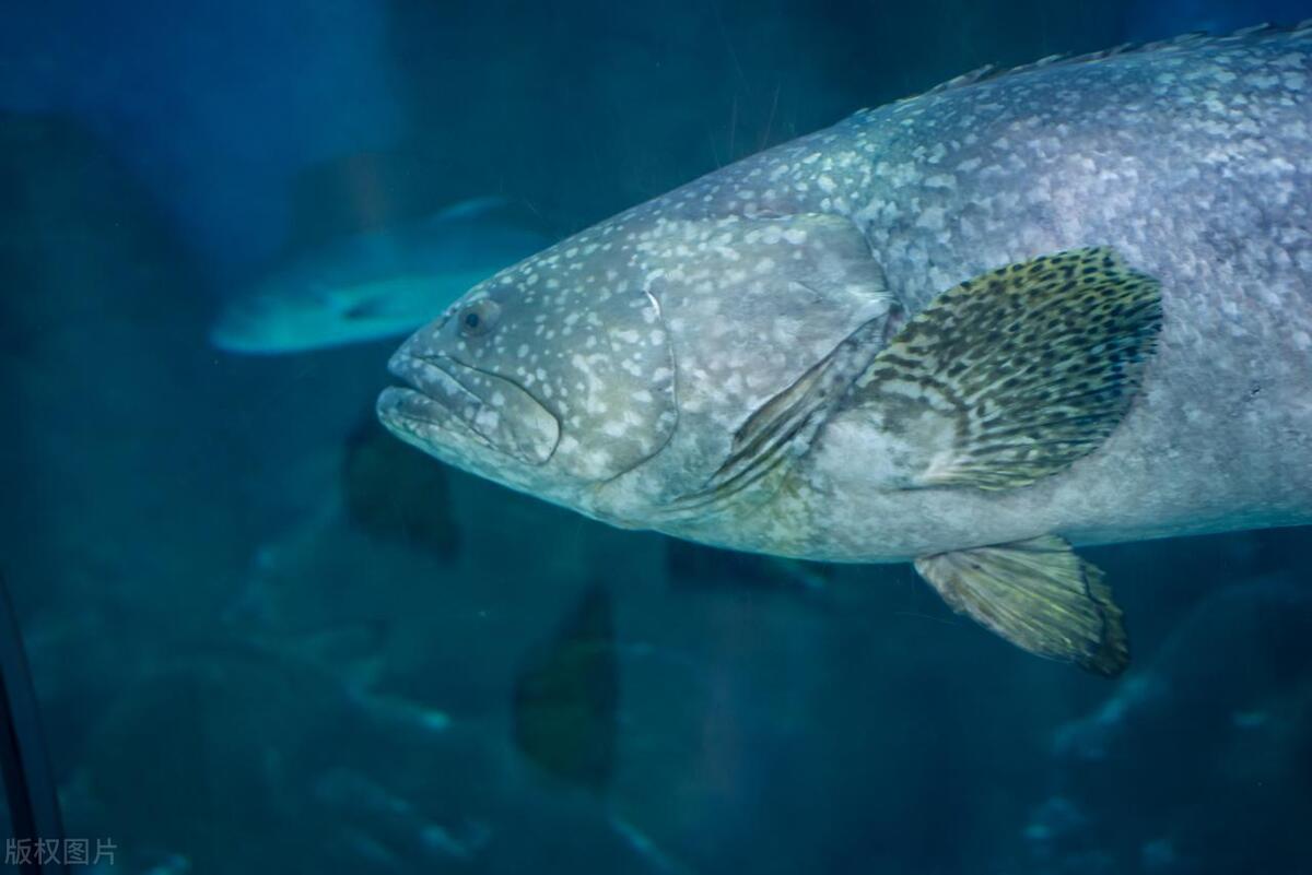 苏州旅游攻略必去的5个地方,去苏州旅游最值得去的地方