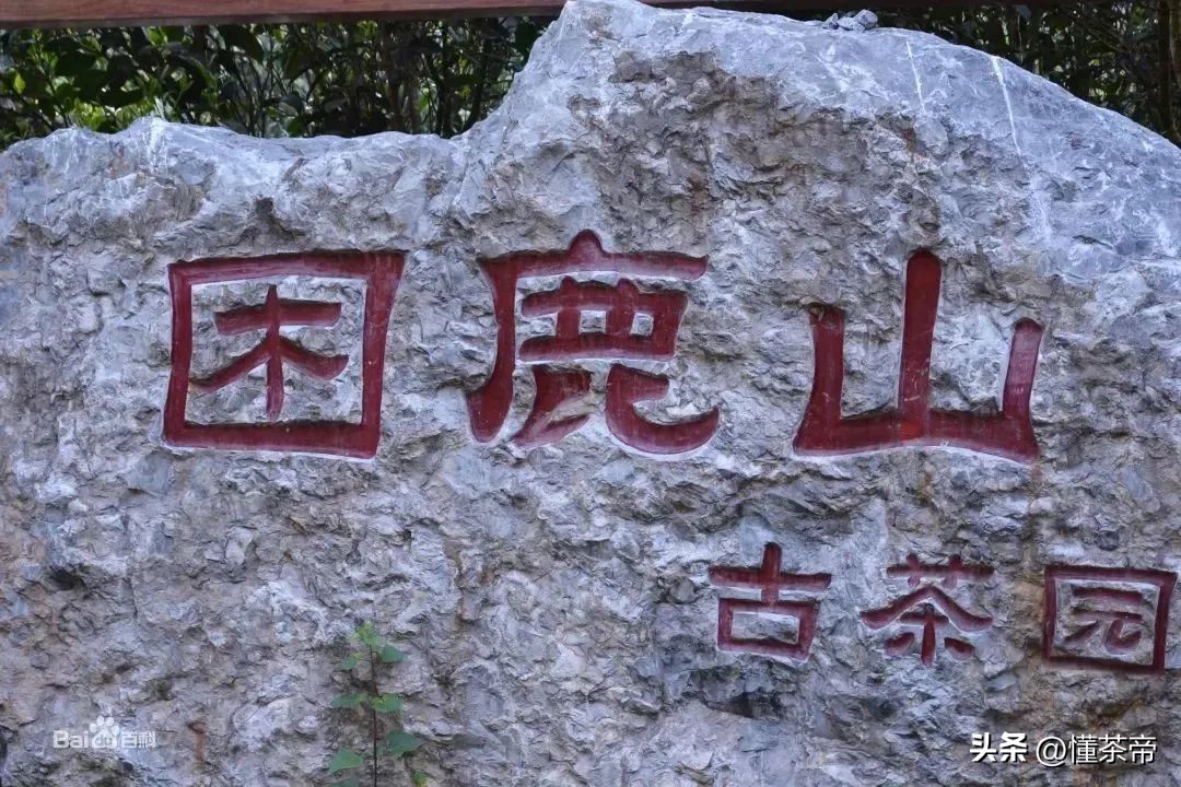 最贵的普洱茶是老班章吗,10年以上老班章普洱茶值多少钱