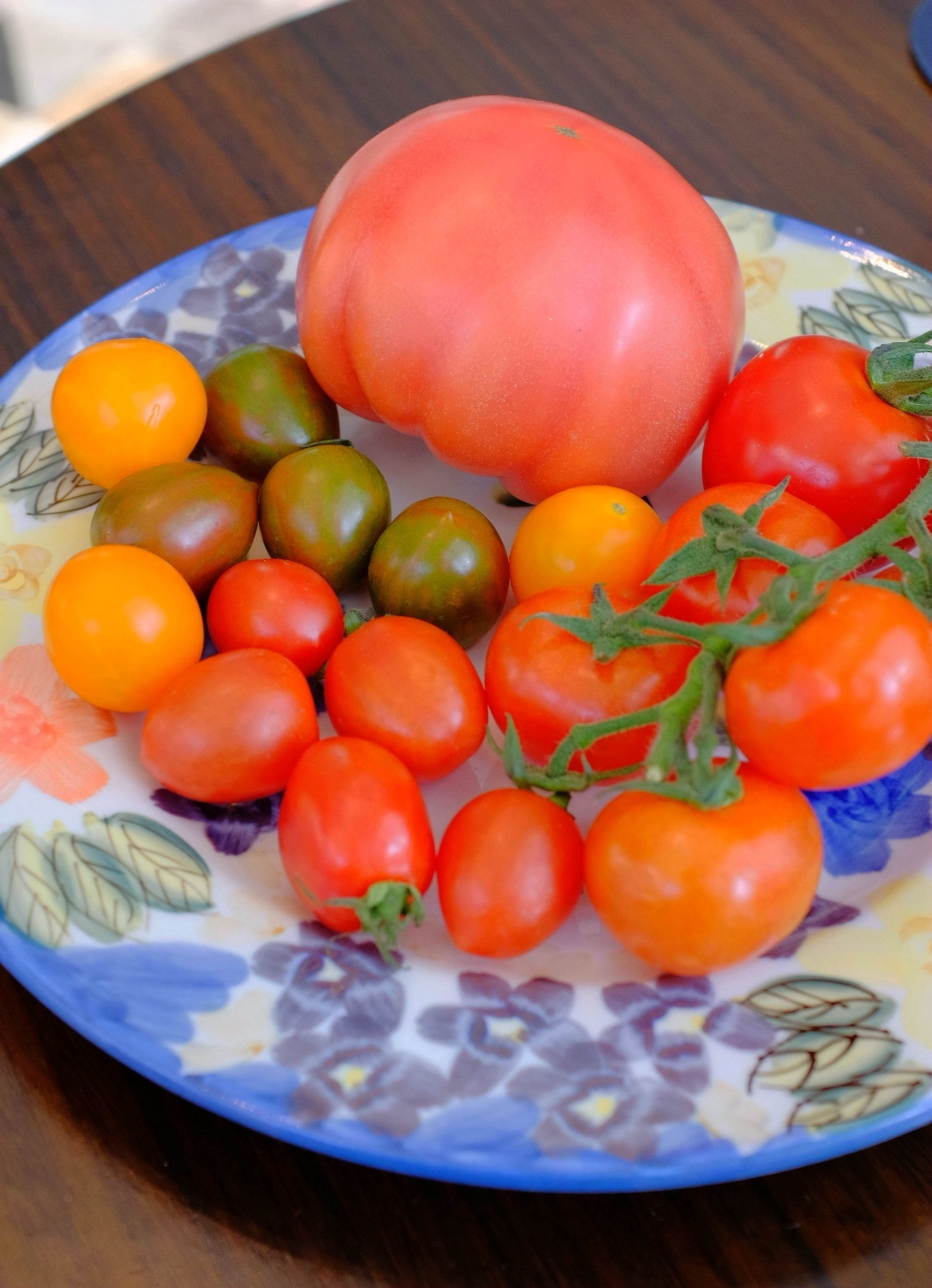 他帮她烧了一顿饭她便拥有了整个罗马