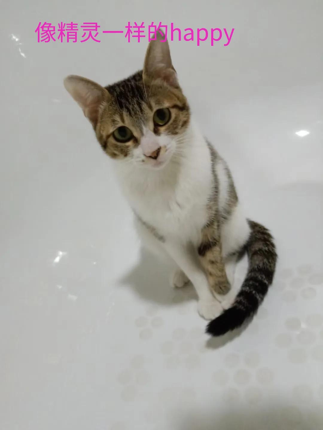 happy鎴戠殑濂冲鎻掓洸,浣爃appy鎴戜篃happy