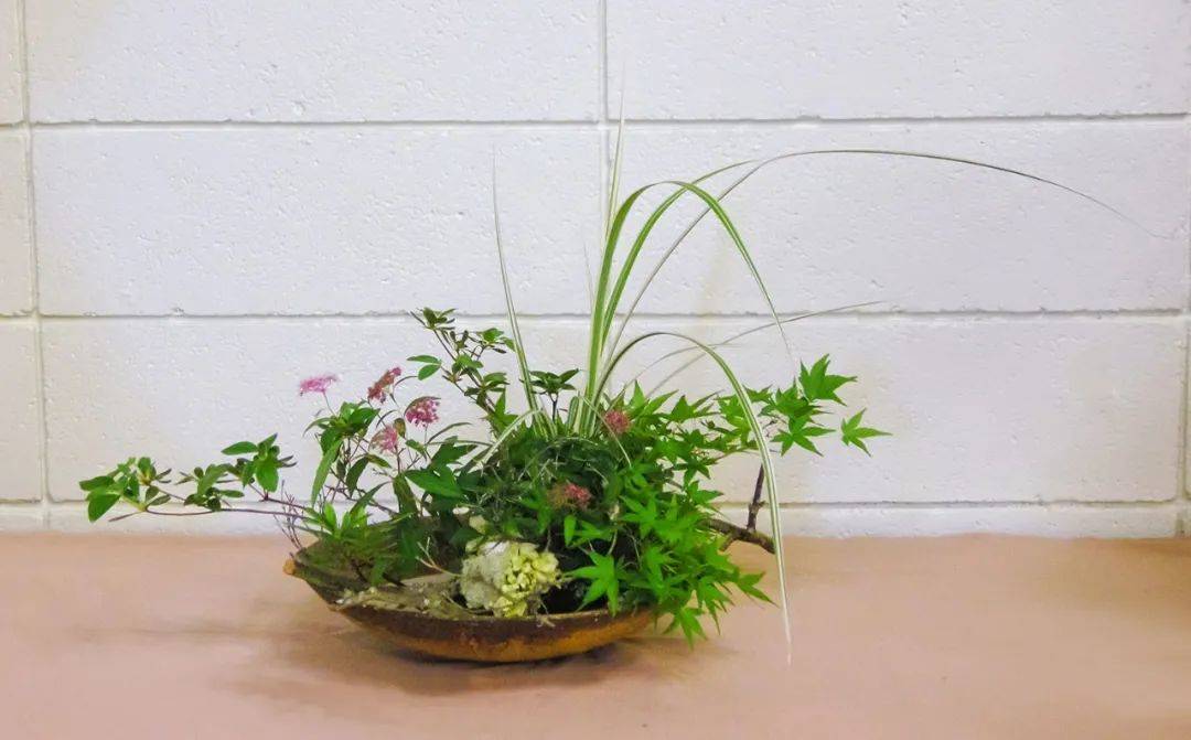 日式插花小原流花道,日式插花的13个基本技巧