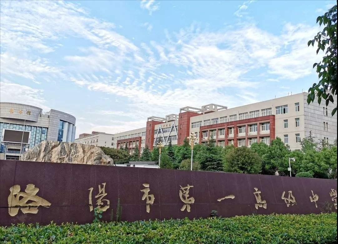 后生可畏学渣逆袭路,洛阳一高理科状元