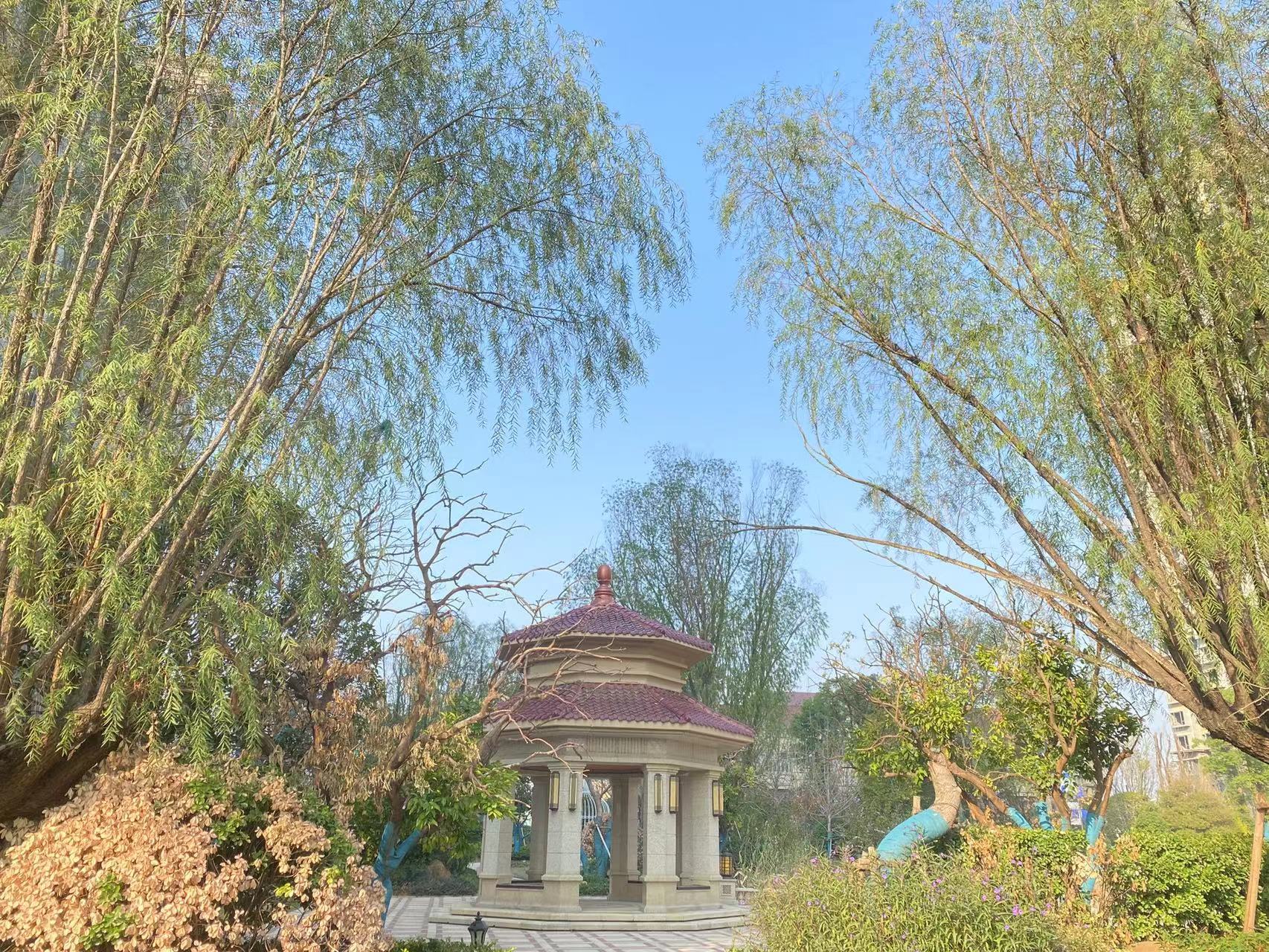 孝感邓家河湿地公园投资多少钱,90亿巨资的河滩公园