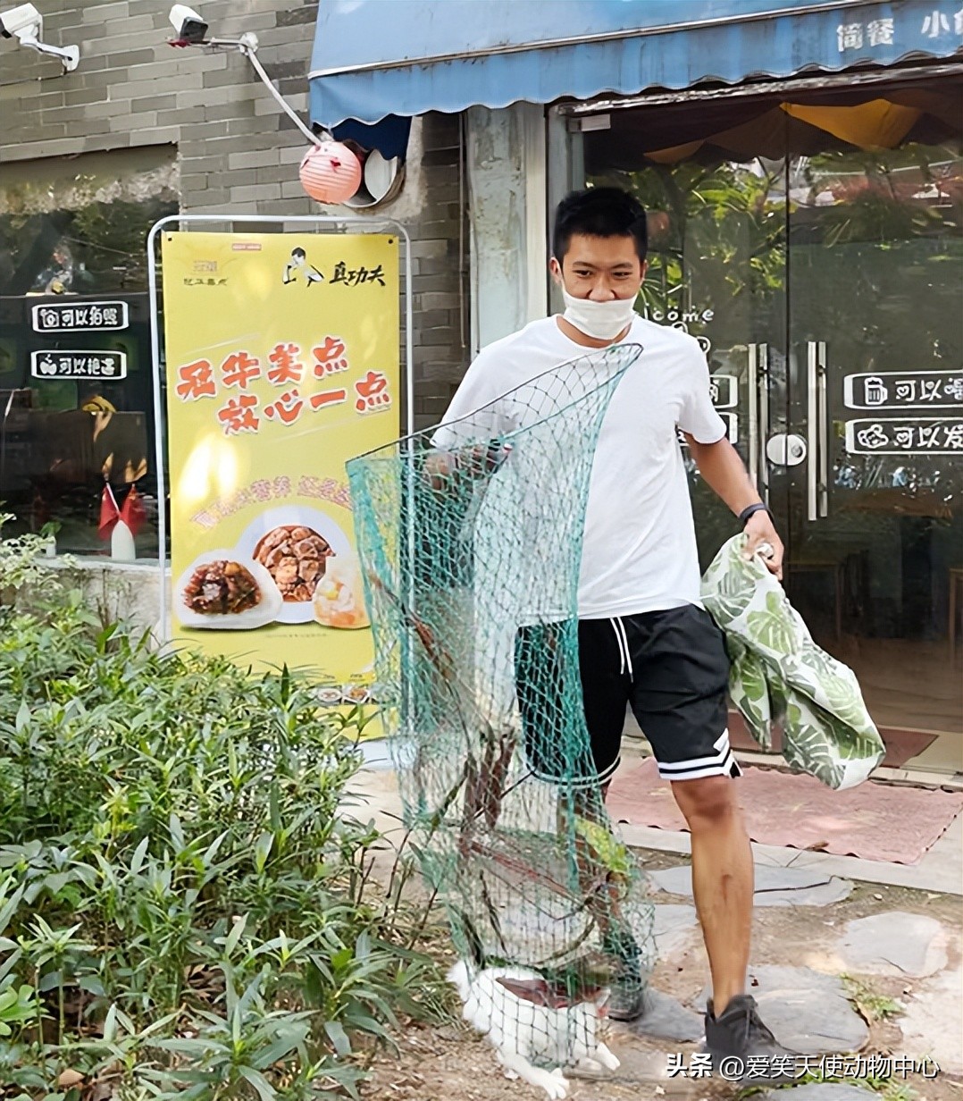 救助|脖子被勒的血痕累累，这只猫到底经历了什么…