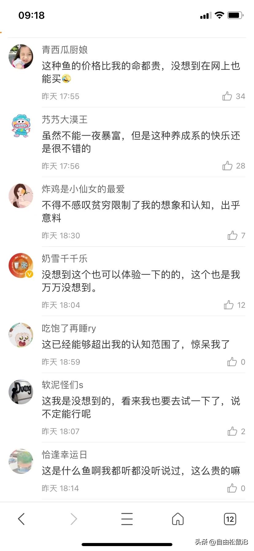 名贵金龙鱼天价视频,天价金龙鱼268万