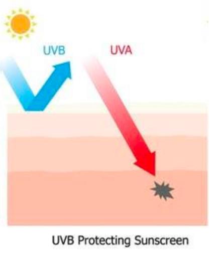 澳洲伊肤姿防晒 (一款全光谱抗衰老防晒霜)