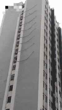 涔濅釜鍔ㄤ綔濮垮娍鎽嗘媿,涔濅釜鎵嬪娍鍔ㄤ綔