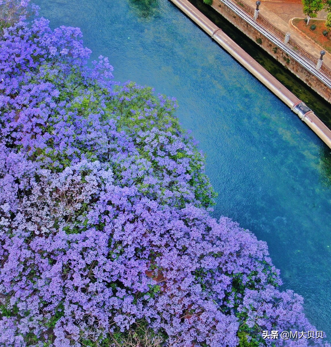 在云南的昆明人怎么样,昆明人到底是怎样的人