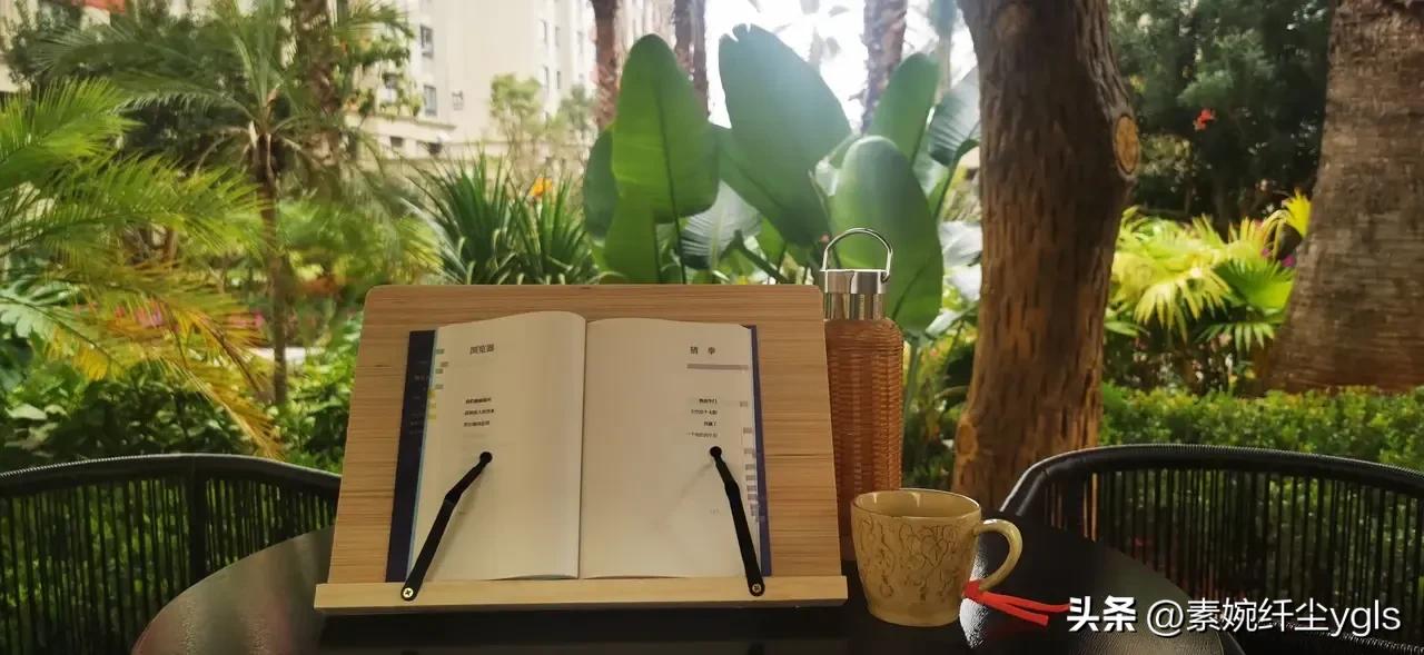 学生在学校运动比赛中碰伤谁负责,学校比赛拉伤了学校是否承担责任