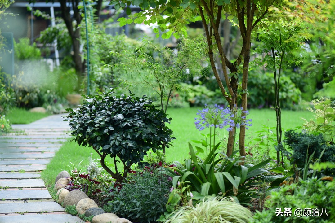 看到你的花园那么惨，我就安心了|园丁