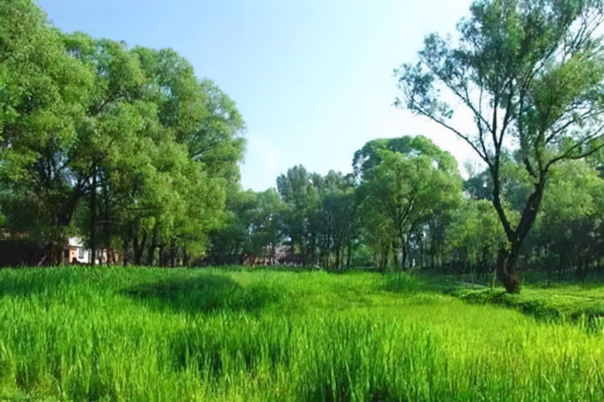 北京周边冬季一日自驾游最佳去处,北京周边自驾游路线攻略推荐