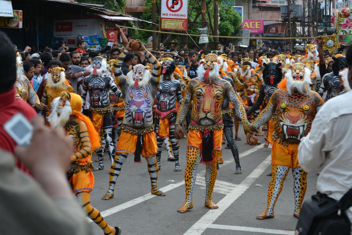 别笑！印度“老虎”*行游**：狂热艺术家们在昏厥中走向艺术巅峰