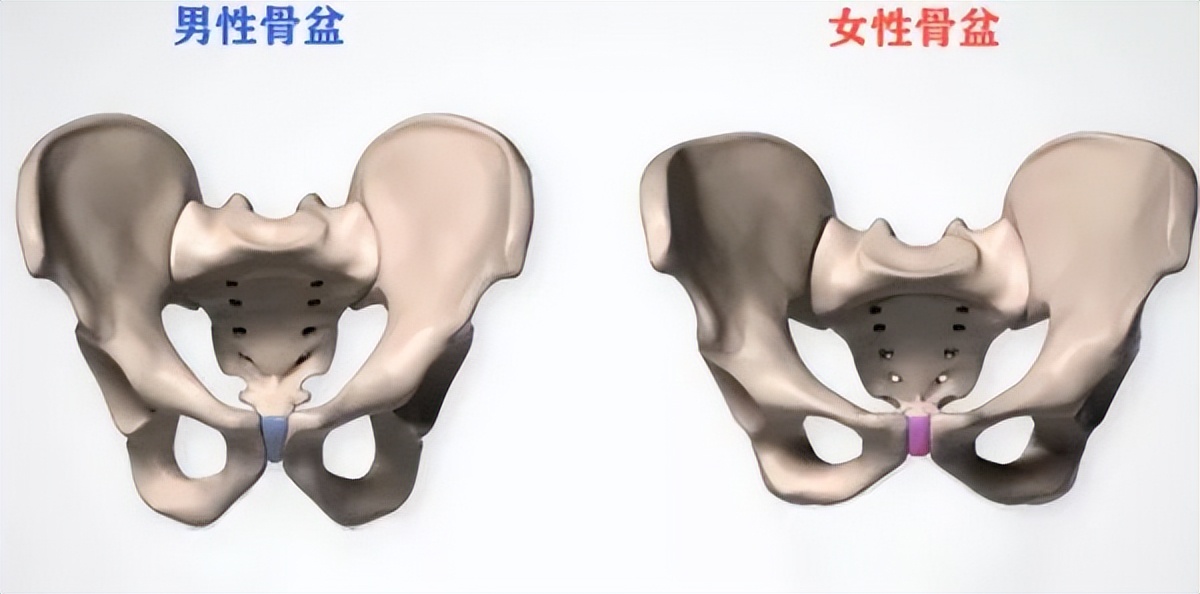 产后子宫修复避坑,瑜伽产后修复的十大坑