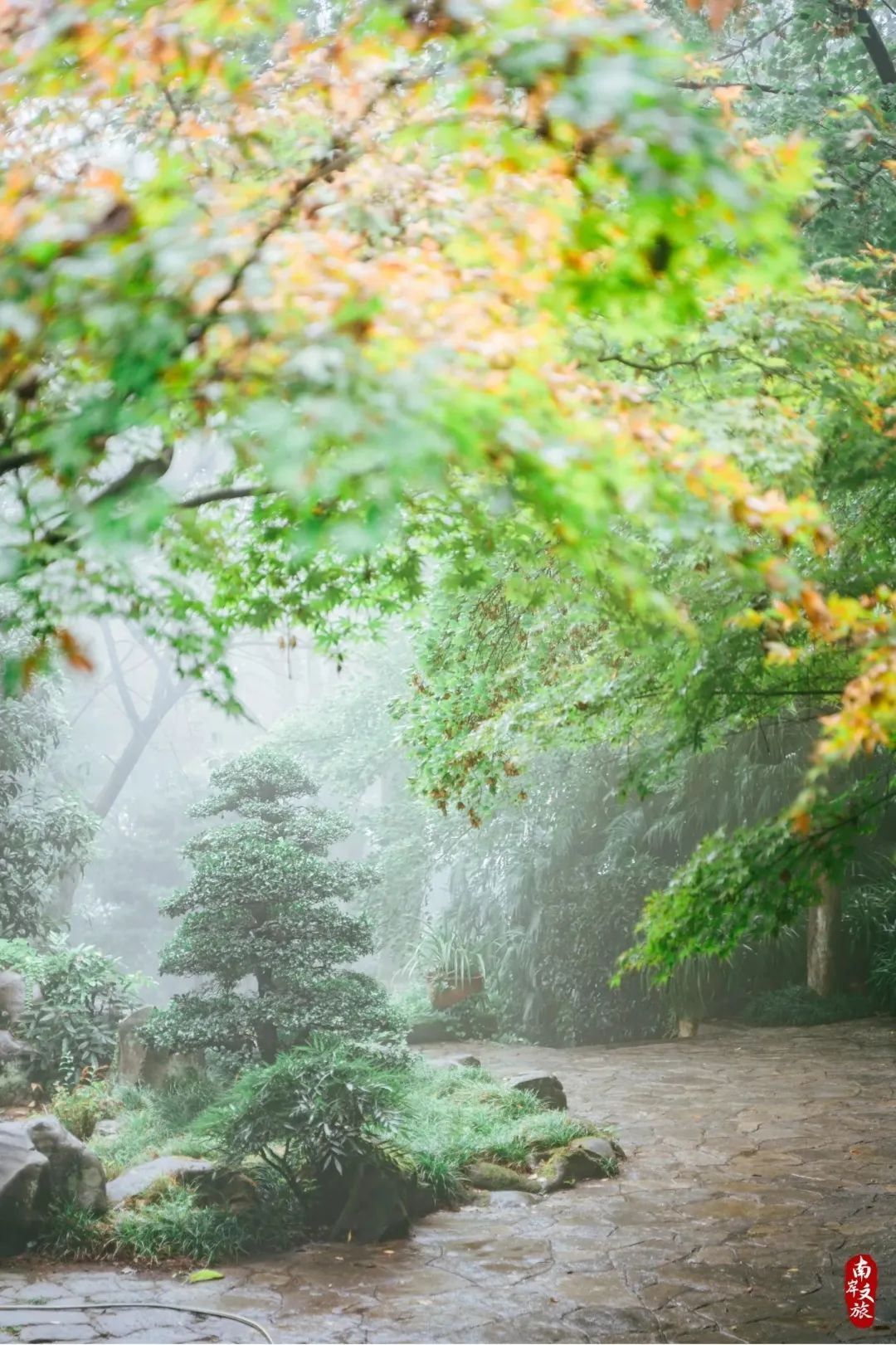 看重庆，来南岸|不看南岸这些地方，就不算到过重庆