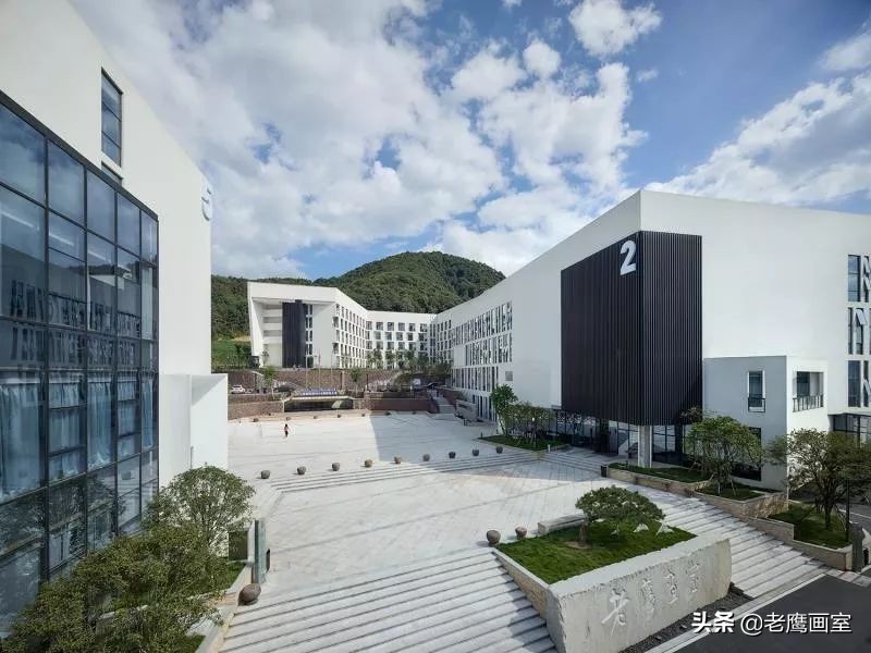 老鹰画室精品班和进阶班,成都老鹰画室和成都艺考画室