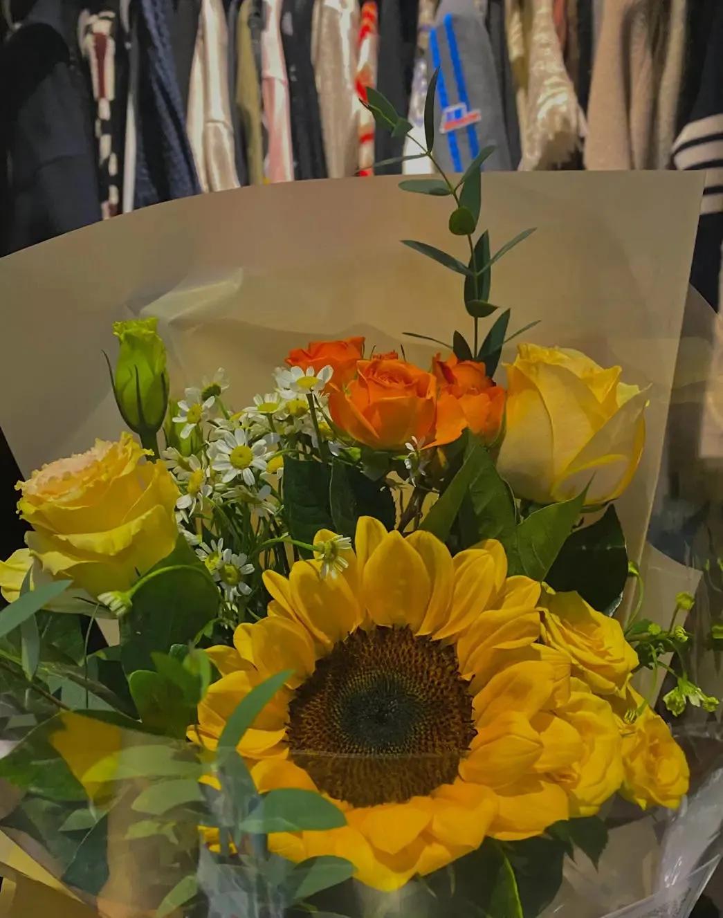 干净大方的背景图,绝美背景图干净