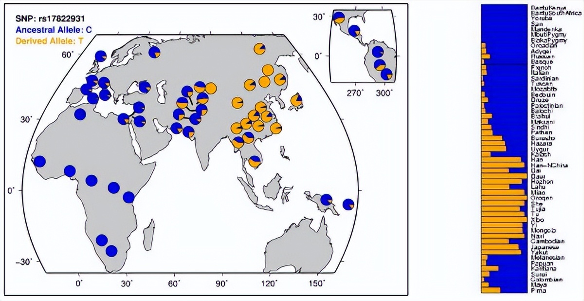 为什么说吃了耳屎会成哑巴,掏耳朵的耳屎吃了会变哑巴吗