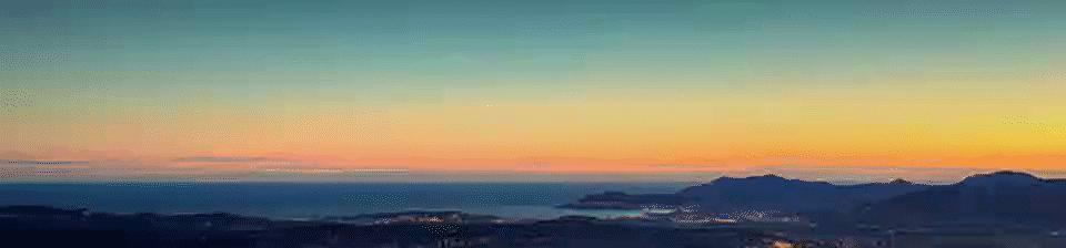 非洲大蜗牛入侵美国，每年可产5窝，花费数百万美元没法治理