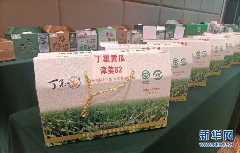 淮安农业种植致富项目,黄瓜种植致富经历