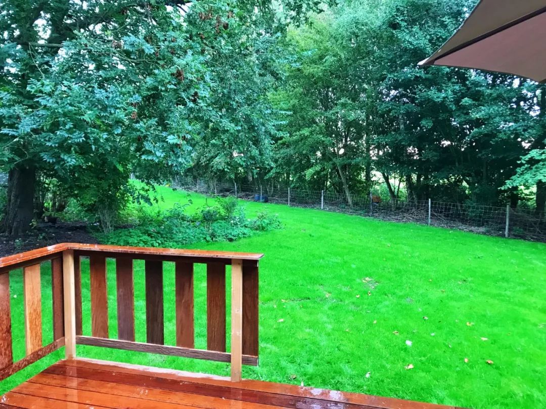 开车去欧洲第23集:在阿姆斯特丹*灯区红**,2名荷兰壮汉挑衅被我怼