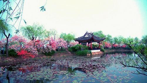 田园诗十大经典名句,6首绝美田园诗夏天