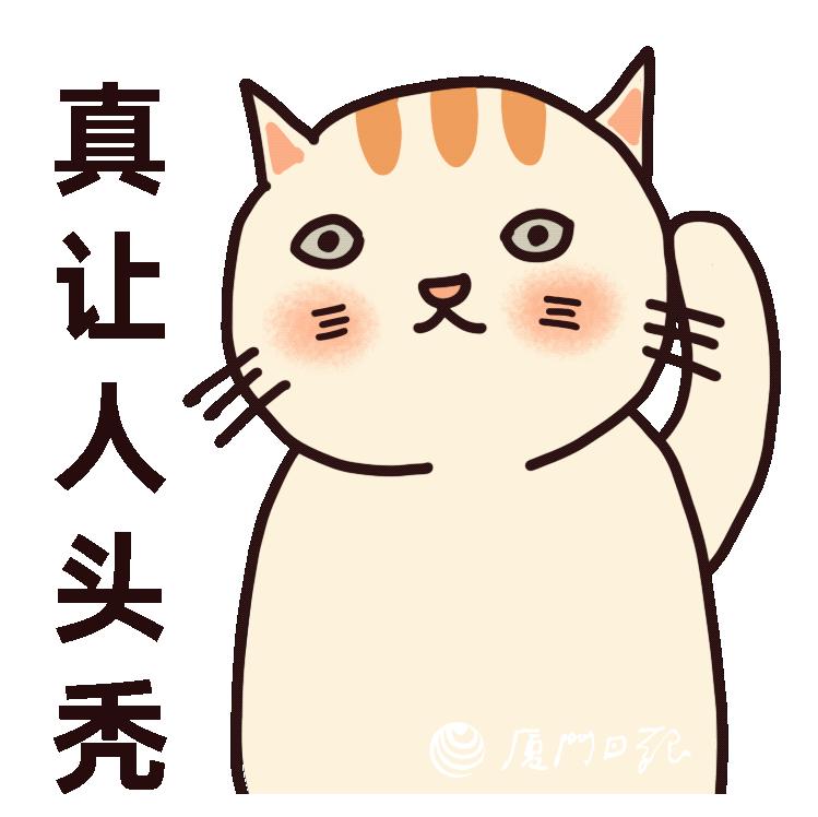 厦门集体户可以选择积分入学吗,厦门热点小学入学政策