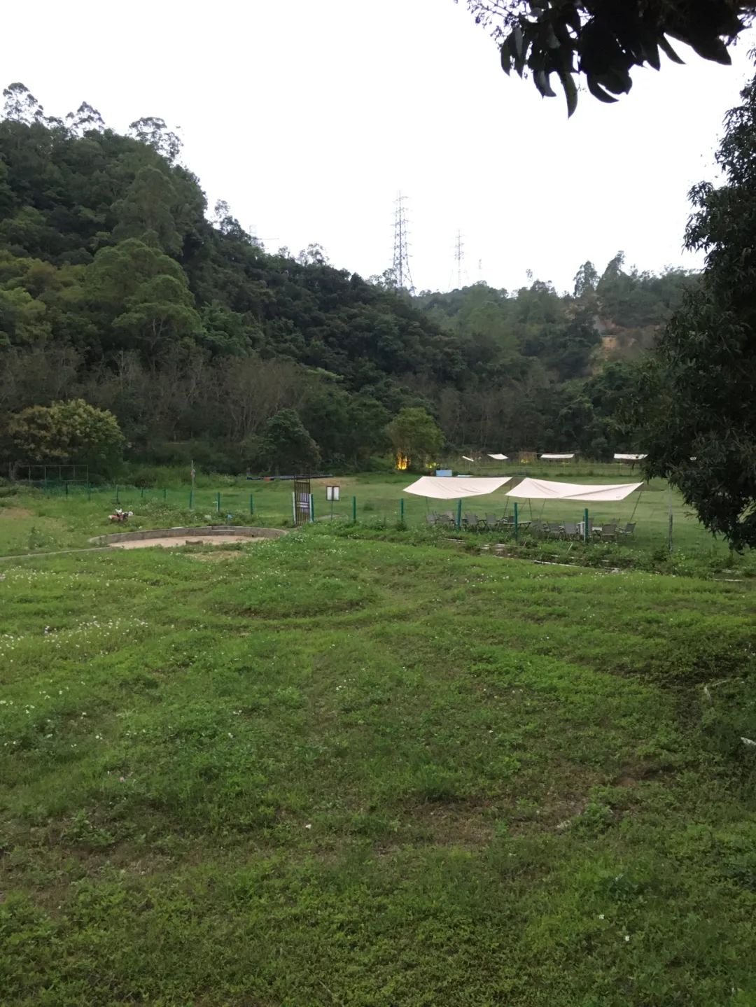 旭光车行雅迪电动车,旭光单车