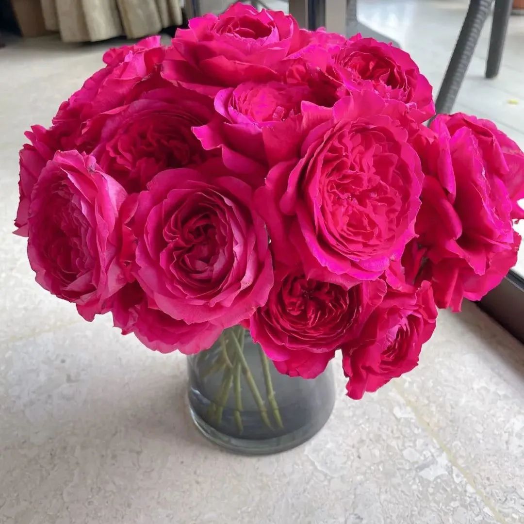 鲜花在水里能养几天会死,新加坡盆栽花卉怎么养