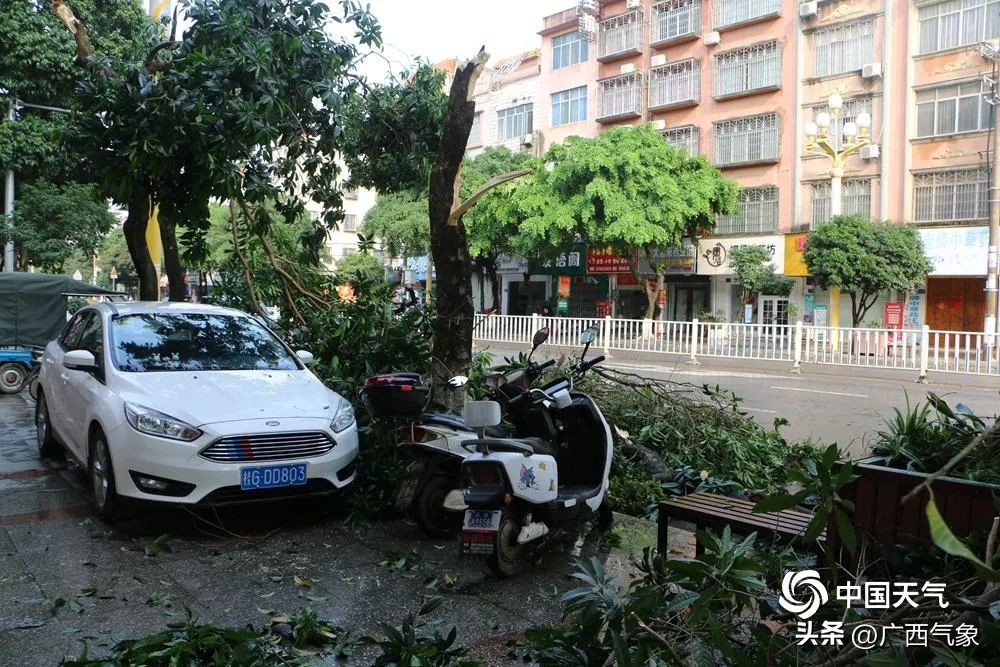 20日雨水减弱一天！21-25日连续性中到大雨+局地暴雨到大暴雨+短时雷暴大风、冰雹来广西过“三月三”......