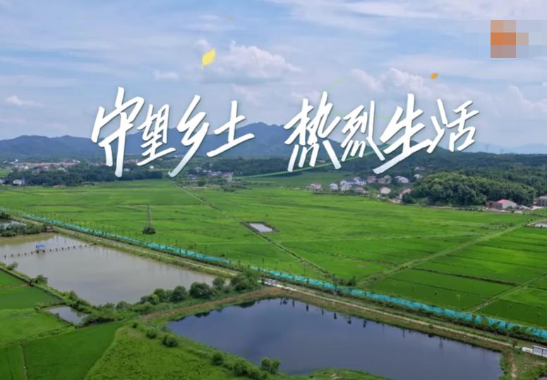 汪涵套路杨迪完整版,汪涵杨迪综艺节目有什么