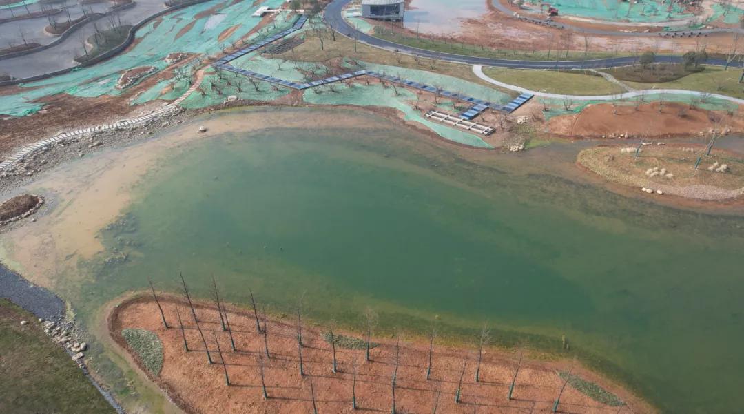 32万平方米,江北超大公园震撼来袭