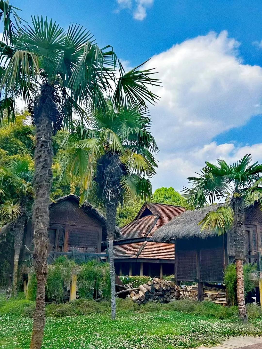 最美的地方云南昆明,云南最美的十个地方你想去哪里