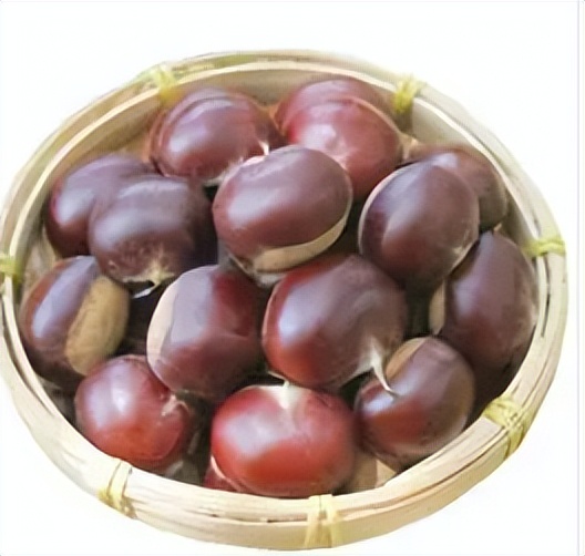 板栗发芽了还能种吗,板栗发芽了还能吃吗