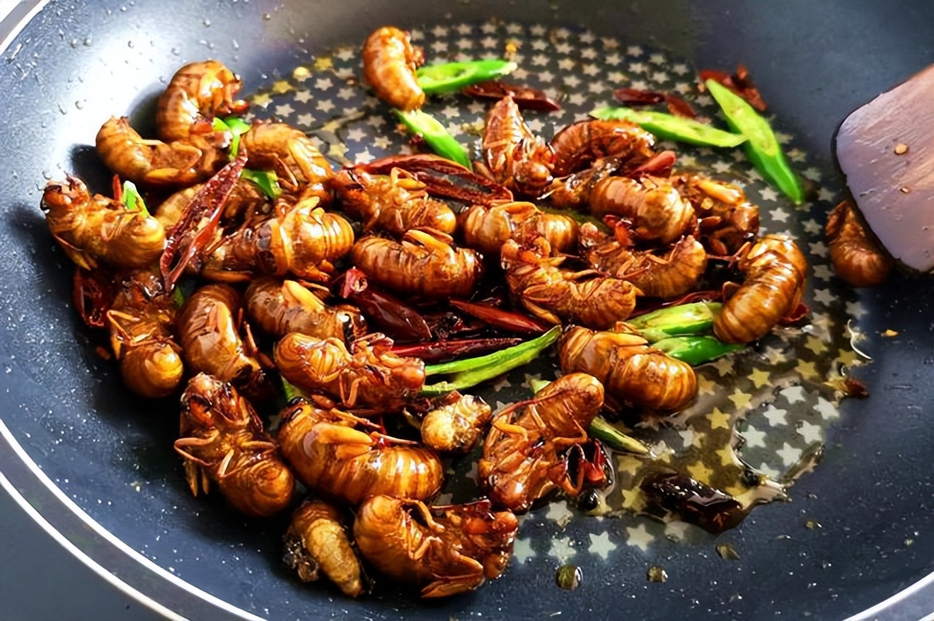 丽水知了每斤卖400元,丽水市民抓知了卖260元一斤