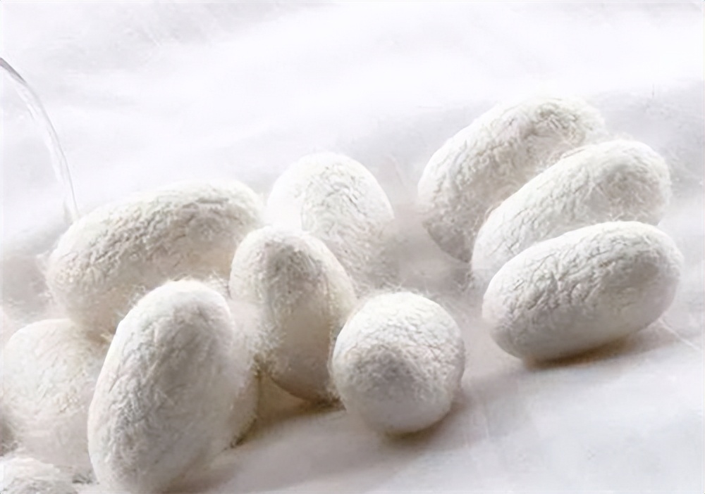 蚕丝被200和1000的区别,200多的蚕丝被怎么样