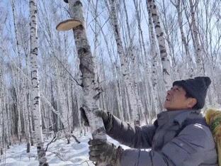 东北，这个职业正在消失！|地球知识局