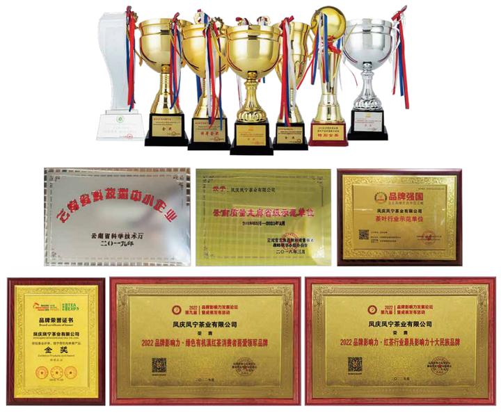 临沧普洱茶十大品牌,普洱茶哪个品牌好喝