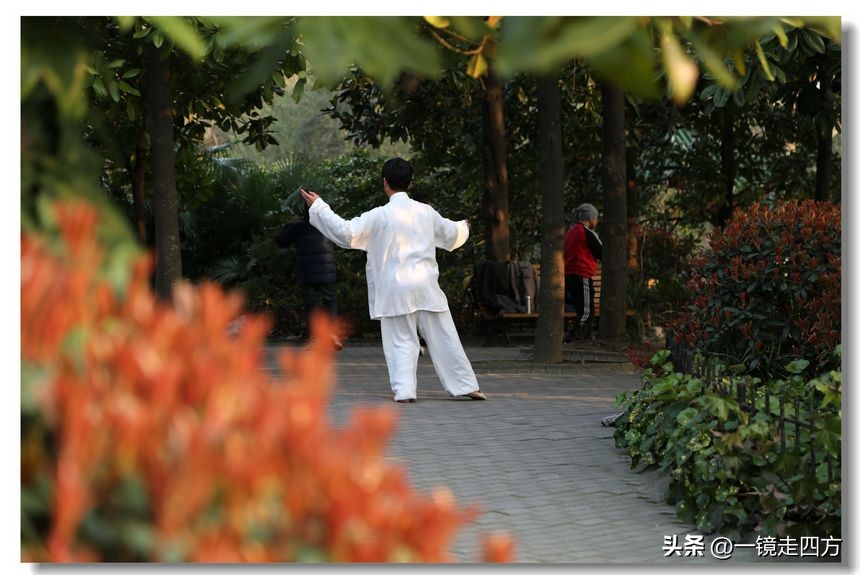 上海长风海洋公园和自然博物馆,上海长风公园占地面积