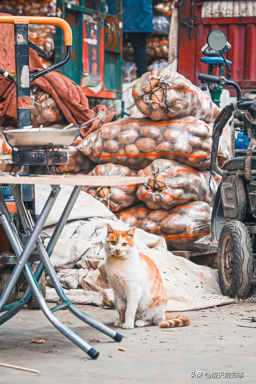南京人囤物资,众彩年货攻略大全